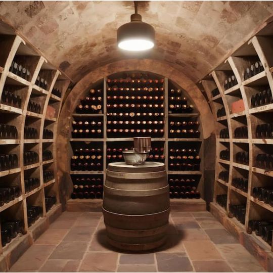 what temperature should a wine cellar be